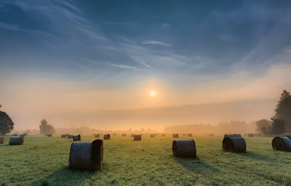 Field, landscape, sunset, hay