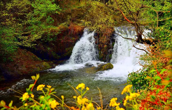 Waterfall, River, Forest, Waterfall, River, Forest
