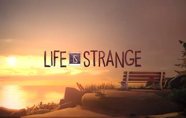 Forest, sunset, shop, forest, sunset, bench, pier, Life is Strange