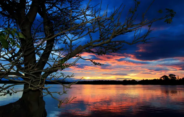 Trees, landscape, sunset, lake