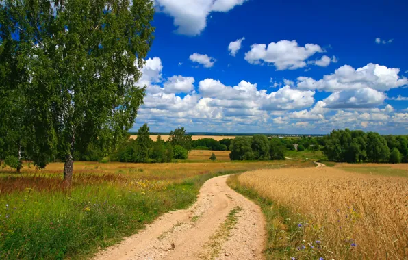 Road, field, the sky, clouds, trees, space