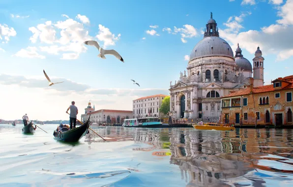 Picture Water, Home, Italy, Venice, Seagulls, Italy, Venice, Santa Maria della Salute