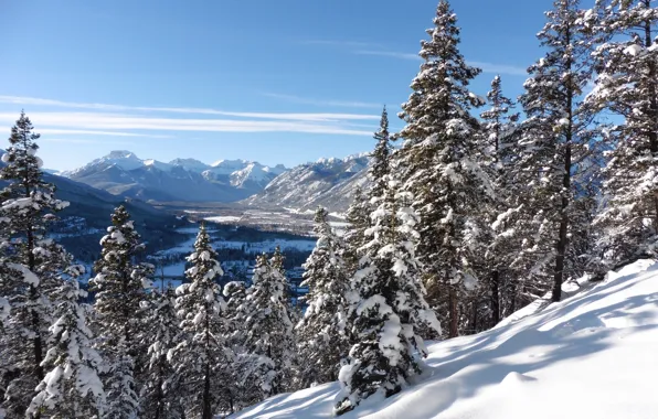 Winter, snow, trees, mountains, ate, valley, Canada, Albert