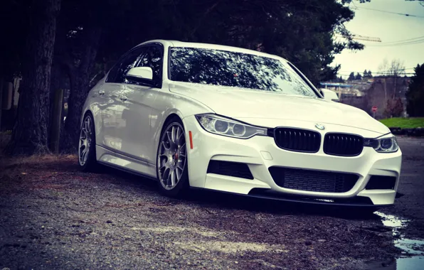Picture BMW, white, WHEELS, stance, f30