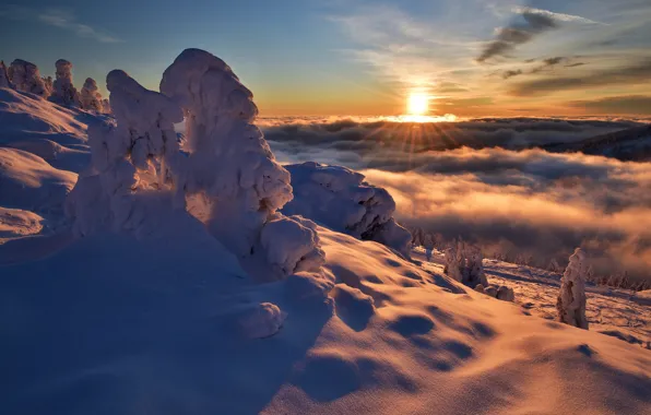 Winter, the sun, clouds, rays, snow, trees, landscape, sunset
