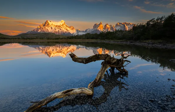 Mountains, lake, shore, view, snag, Andes, Patagonia