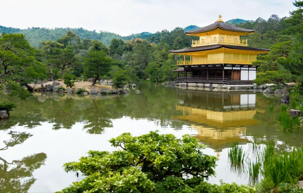 Picture pond, Japan, garden, temple