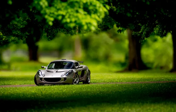 Lotus, Requires, front, silvery