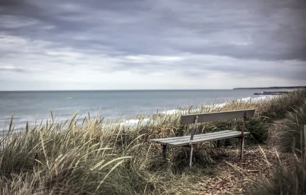 Picture sea, shore, bench