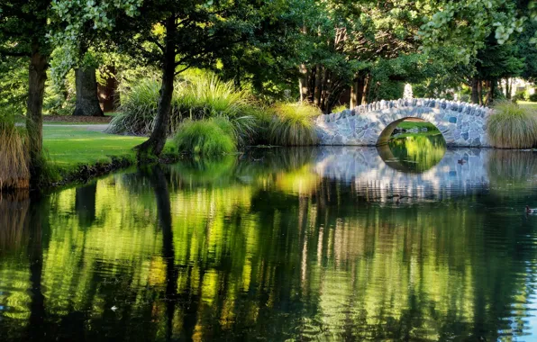 Grass, trees, bridge, Park, stream