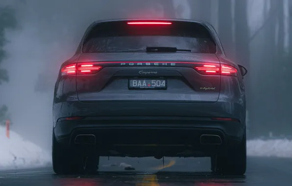 Winter, road, Porsche, Cayenne, e-hybrid, The back