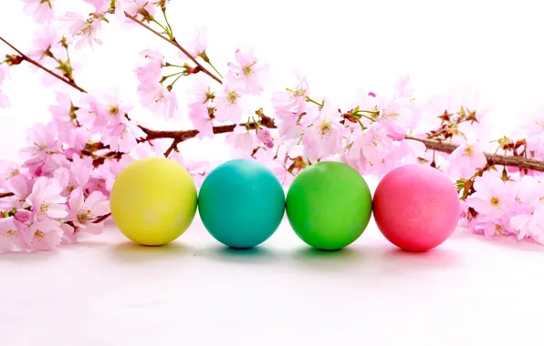 Flowers, holiday, Easter, flowering, testicles, cherry sprig