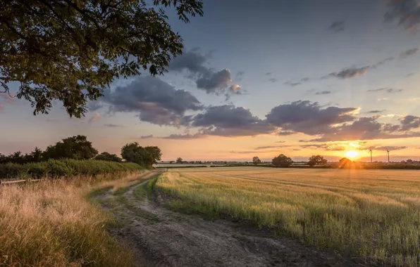 Picture field, landscape, nature, beauty, the evening, path