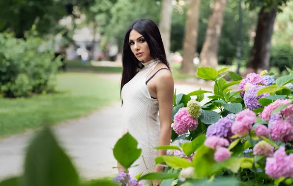 Picture look, flowers, sexy, hair, brunette, beauty, Sabrina, bokeh