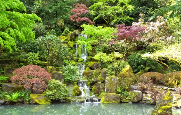 Trees, pond, stones, waterfall, moss, garden, the bushes