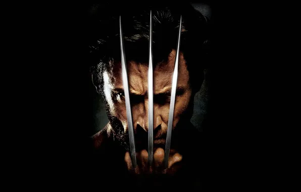Picture metal, claws, knives, Wolverine, X-Men, Wolverine