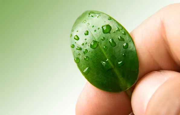 Water, leaf, fingers