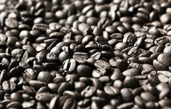 Background, coffee, grain, texture, coffee