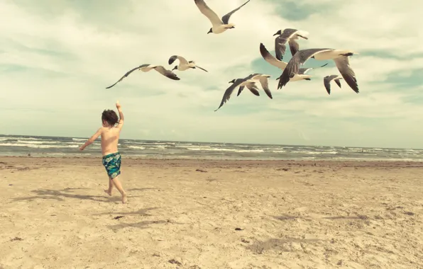 Picture wave, beach, seagulls, child, waves, beach, child, seagulls