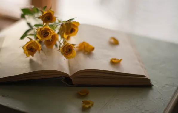 Flowers, Book, Roses