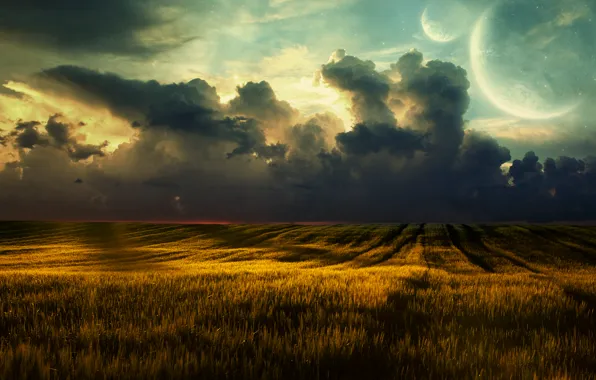 Wheat, field, clouds, landscape, nature, clouds, fields