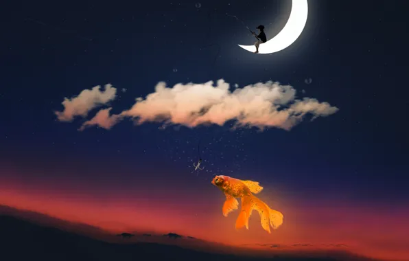 The sky, clouds, sunset, the moon, fishing, fish, stars, a month