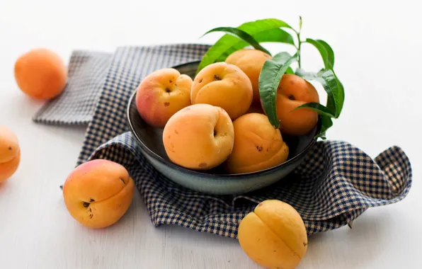 Picture plate, fruit, napkin, apricots