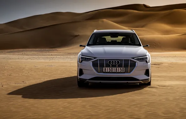 Picture white, Audi, desert, front view, E-Tron, 2019