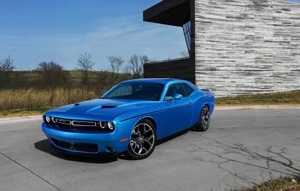 Picture blue, background, Dodge, Dodge, Challenger, the front, Muscle car, Muscle car