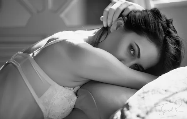 Look, black and white, bra, monochrome, Kerry Ann, Jack Russell
