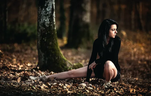Picture autumn, forest, legs, Arya, Laurent KC