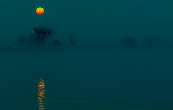 Picture the sky, water, trees, fog, the moon