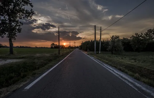 Picture road, night, tree