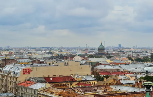 Peter, roof, Saint Petersburg, Kazan Cathedral