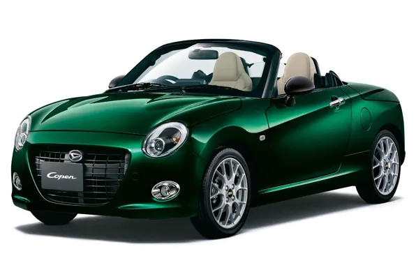 Picture Special Edition, Daihatsu, Copen, 20th Anniversary