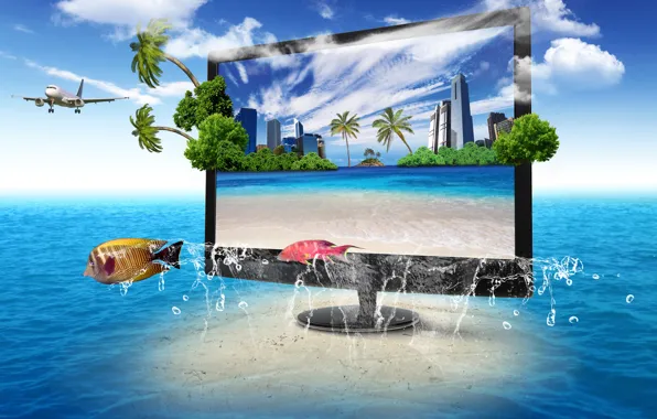 Nature, the ocean, TV, monitor, screen