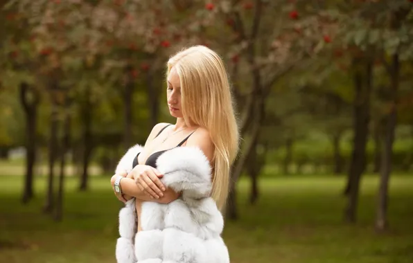 Picture summer, girl, face, hair, fur, Katya