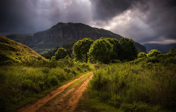 Road, the sky, trees, hills