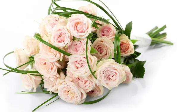 Picture flower, flowers, roses, bouquet, beautiful