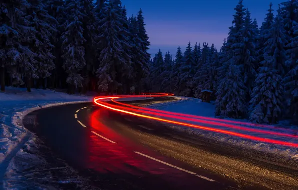 Picture winter, road, forest, light, snow, night, lights, excerpt