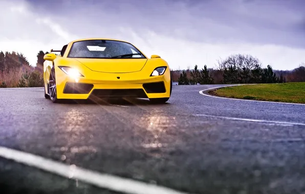 Picture yellow, background, supercar, the front, AF8, Arash