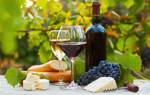 Wine, red, white, bottle, cheese, glasses, bread, grapes