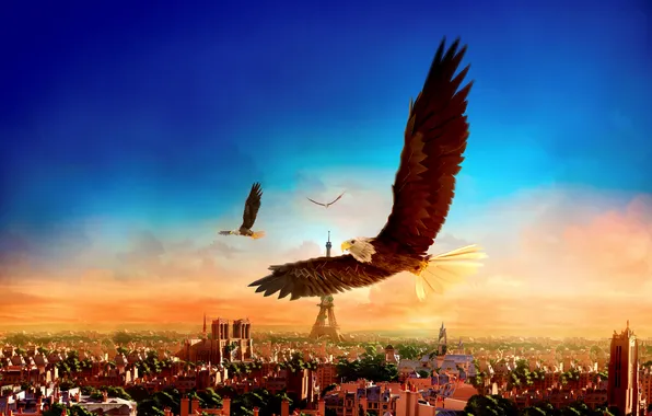 Paris, The city, The game, Flight, Wings, Game, The eagles, Eagle Flight