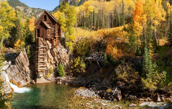 Autumn, forest, light, trees, mountains, stones, rocks, shore