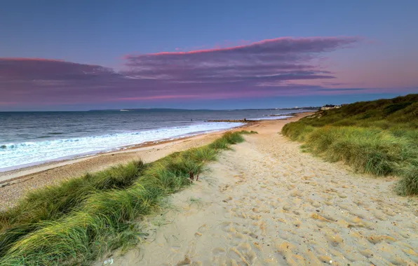 Sand, sea, beach, grass, traces, shore, hill