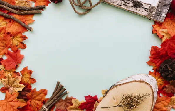 Picture autumn, leaves, background, tree, colorful, wood, background, autumn