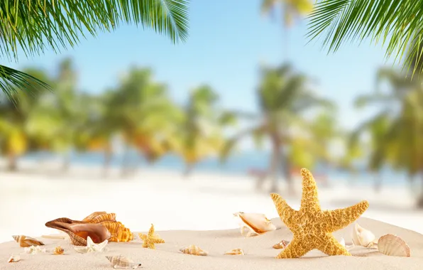 Sand, sea, wave, beach, summer, the sky, palm trees, shore