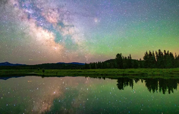 Forest, the sky, stars, night, lake, reflection, shore, Northern lights