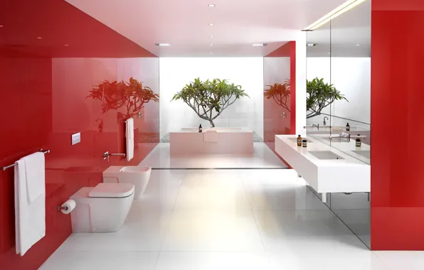 White, red, reflection, plant, bathroom, mirror