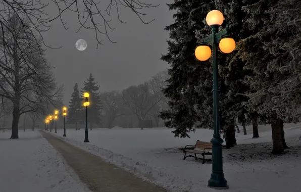 Picture winter, snow, trees, bench, Park, the moon, the evening, lights